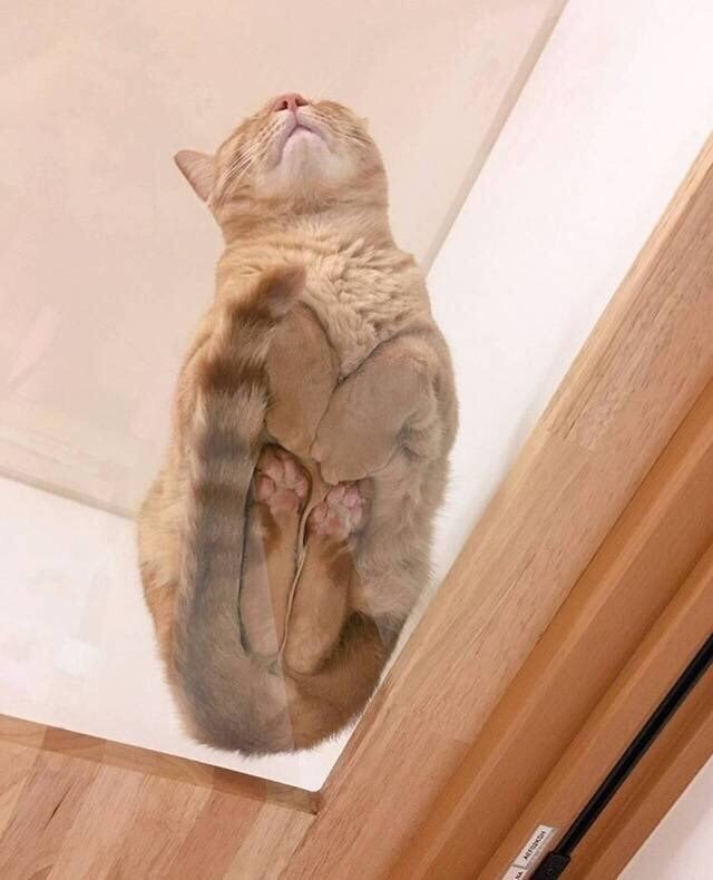        ,    