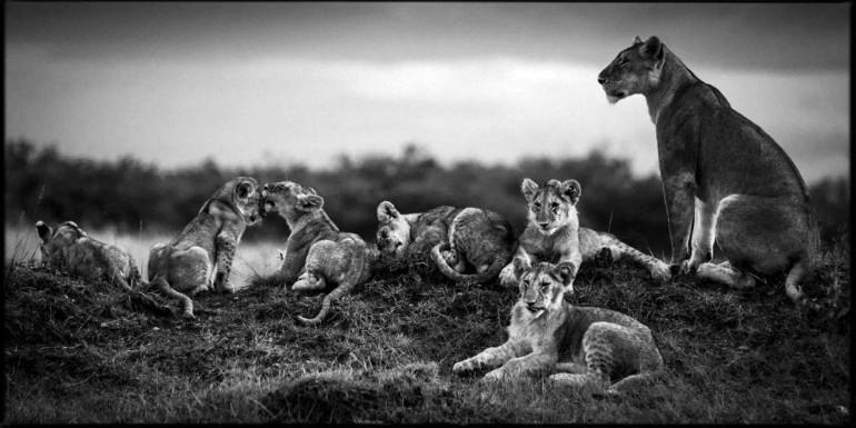  Laurent Baheux - 5