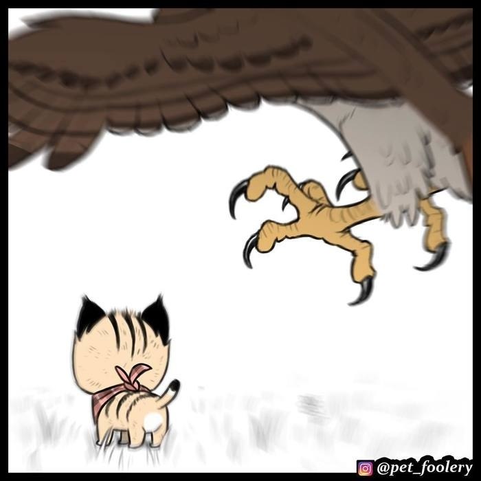    ,    ,    .