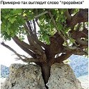 ���� �������, �������� - ��������� 29 ���� 2018 � ������ ������ ��������