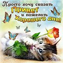 ���� _ _ ������� _ _, ������, 51 ��� - ��������� 15 ����� 2019