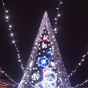  Victor, , 61  -  16  2018    