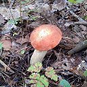 ���� �������, ������������ - ��������� 28 ������ 2018 � ������ �������