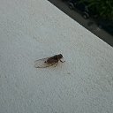 ���� ���������, ������ - ��������� 8 ������ 2019 � ������ ���� ����������