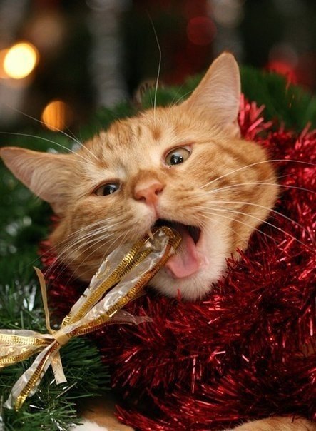  - 30  2018  16:36 - 2