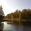 ���� �������, �����-���������, 64 ���� - ��������� 8 ������� 2018 � ������ ���� ����������