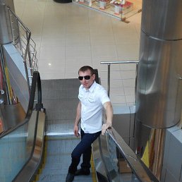 ������, ���������