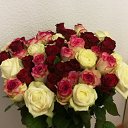 ���� ��������, ������, 56 ��� - ��������� 11 ������� 2019 � ������ ���� ����������