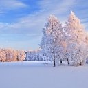 ���� Regina, ������ - ��������� 18 ������� 2018 � ������ ����� ���� ������