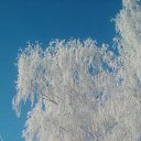 ���� Igor, ��������, 55 ��� - ��������� 30 ������ 2018