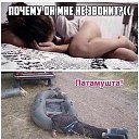 ���� ������, ��������� - ��������� 2 ������ 2018 � ������ ���� ����������