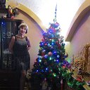 31.122019 �. �� ������� ���� ����������