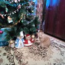 � ��� ��� �������? �� ������� ������ ��������