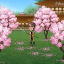  ,  -  8  2019   Tropikania