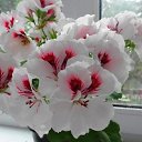 ���� ������, �������������, 66 ��� - ��������� 6 ������ 2018