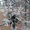 ���� Jurij, ����, 47 ��� - ��������� 5 ������� 2018 � ������ ������ ��������