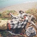 ���� �����, �������, 64 ���� - ��������� 6 ������� 2018 � ������ ��.���