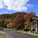 ���� Igor, ��� ����, 62 ���� - ��������� 7 ������ 2018 � ������ �Bear Mountain�