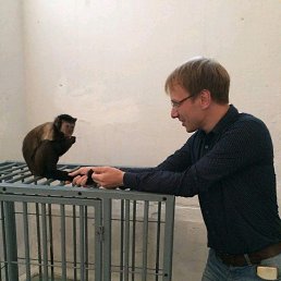 ���� ����, ������������, 37 ��� - ��������� 24 ����� 2019