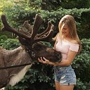 �������� :-) �� ������� ���� ����������