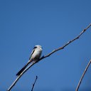 ���� ����, �����������, 50 ��� - ��������� 4 ������� 2018 � ������ ������ ���� ����� - ��������, ������� �� ������� �����