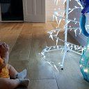 ���� �������, ����������� - ��������� 25 ������� 2018 � ������ ���� ����������