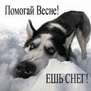 ���� ���������, �����-���������, 55 ��� - ��������� 4 ����� 2019 � ������ ������ ��������