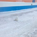 ������� �������� �� ������� ���� ����������