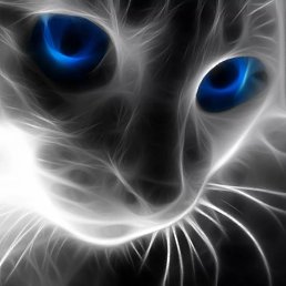 ������, ���������, 25 ���