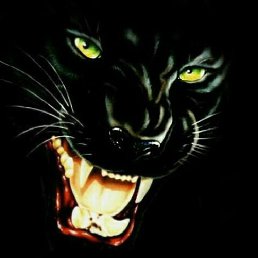 �������, �����-���������, 32 ����