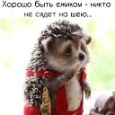 ���� �������, ���� - ��������� 17 �������� 2018 � ������ ���� ����������