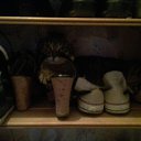 ���� �����, �������� - ��������� 4 ������� 2019 � ������ ���� ����������