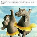 ���� �������, ������ ���, 67 ��� - ��������� 13 �������� 2018 � ������ ���� ����������
