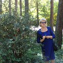 ���� ����, ������ - ��������� 4 ������� 2018 � ������ ���� ����������