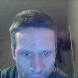 ������, ����, 41 ���