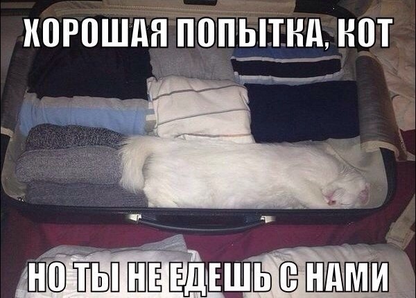 Art & Fun - 3  2018  16:45