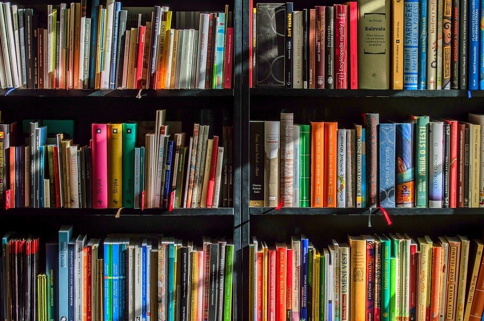 Книги для делового человека.1. Менеджер Мафии «Руководство для корпоративного Маккиавелли»2. Сергей ...
