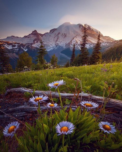        ,      ,     ... - 2