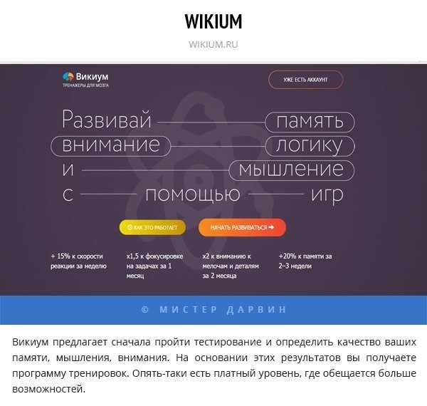 Сайты, которые помогут вам хорошо потренировать мозги!
