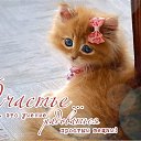 ���� Galka, ������ - ��������� 22 ������ 2018 � ������ ���� ����������