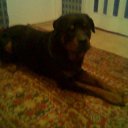 ���� ���������, ��������, 55 ��� - ��������� 1 ������� 2018