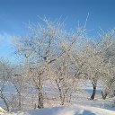 ���� �������, ����������, 48 ��� - ��������� 21 ������ 2019 � ������ ���� ����������