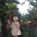 ���� �������, ���������, 68 ��� - ��������� 29 ������� 2018