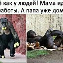 ���� Ruslan, ������, 46 ��� - ��������� 30 ������� 2018 � ������ ���� ����������