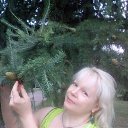 ���� ������, ��������� - ��������� 1 ������� 2018 � ������ ����� ��� ������������