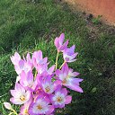 ���� �������, �����, 73 ���� - ��������� 11 ������� 2018 � ������ ���� ����������