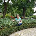  , , 66  -  4  2018    11  2018 