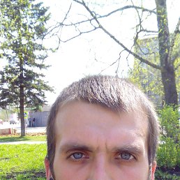 �������, ������, 37 ���