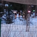 ���� �������, �����-���������, 75 ��� - ��������� 30 ������ 2019 � ������ ���� ����������