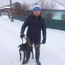 ���� �����, �����������, 36 ��� - ��������� 29 ������ 2018 � ������ ���� ����������